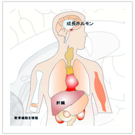 �����z������